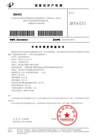 图片27