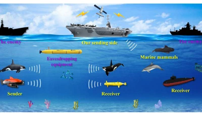 MarGEN: A Deep Learning-Based Augmentation Method for Marine Mammal Call Signal Data featured image