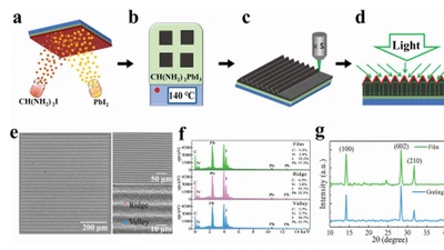 Triangular Micro-Grating via Femtosecond Laser Direct Writing toward High-Performance Polarization-Sensitive Perovskite Photodetectors featured image