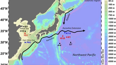 Fertilization of the Northwest Pacific Ocean by East Asia Air Pollutants featured image