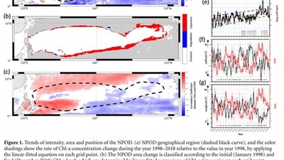 Strengthened Ocean-Desert Process in the North Pacific over the Past Two Decades featured image