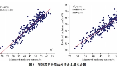 小波变换的潮滩沉积物含水量预测 featured image